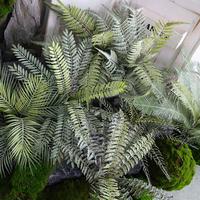 Plante Artificielle Faible MOQ Panneau Mural Luxe Autres Fleurs et Plantes Décoratives Créatives Fausses Décorations Auvent Fougères Artificielles