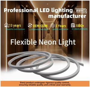 High Brightness 16*16 White IP68 Waterproof Neon <strong>LED</strong> Strip for Ceiling <strong>Cove</strong> <strong>Lighting</strong> Indoor Decorative Linear <strong>Lighting</strong> - Product Image 1