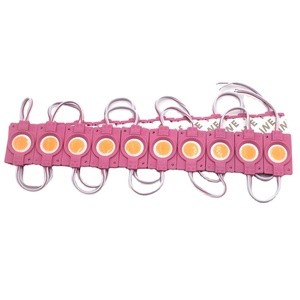 Module LED COB à grande lentille, haute qualité, basse tension 12V, pour enseignes lumineuses, signalétique, magasins, marchés, hôtels, restaurants, de Source Factory - Product Image 1