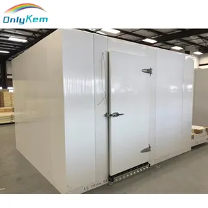 Walk in Cold Storage Refrigerator Freezer Room with Condensing Unit Prices