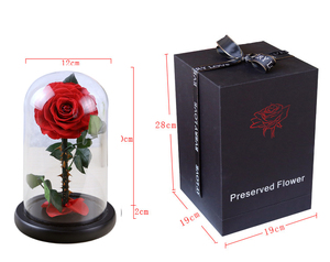 <span class=keywords><strong>Rose</strong></span> <span class=keywords><strong>éternelle</strong></span> sous dôme, disponible dans <span class=keywords><strong>la</strong></span> <span class=keywords><strong>belle</strong></span> <span class=keywords><strong>et</strong></span> <span class=keywords><strong>la</strong></span> bête, fleur romantique, grande tactile - Product Image 4