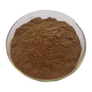 Polisacáridos en polvo de extracto de hongo Shiitake de planta Natural 10:1 20:1 de alta calidad - Product Image 2