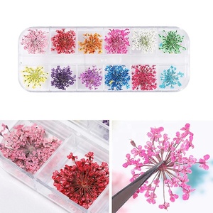 Decoración de <span class=keywords><strong>Uñas</strong></span> 3D de 12 Colores, <span class=keywords><strong>Flores</strong></span> <span class=keywords><strong>Secas</strong></span> Reales <span class=keywords><strong>para</strong></span> Gel UV y Puntas Acrílicas - Product Image 4