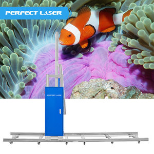 Hoàn hảo laser 3D 4D UV dọc nền hiệu ứng thủy tinh kim loại tường sơn kỹ thuật số véc ni máy in phun máy in Máy in - Product Image 6