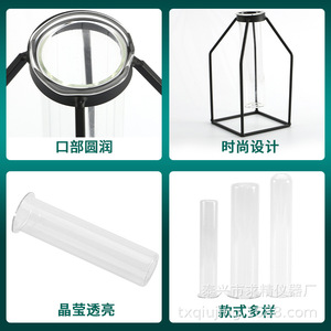 Transparent Glass Hydroponic Vase 37x45x150mm For Tabletop Decoration Living Room Display - Product Image 4