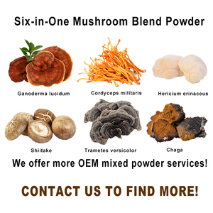 Hỗn hợp nấm bột: Ganoderma, Đông Trùng Hạ Thảo Militaris, hericium erinaceus, lentinus edodes, <span class=keywords><strong>coriolus</strong></span> versicolor, Chaga chiết xuất - Product Image 2