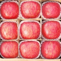 Prix des pommes fraîches chinoises Gala/Rouges/Fuji