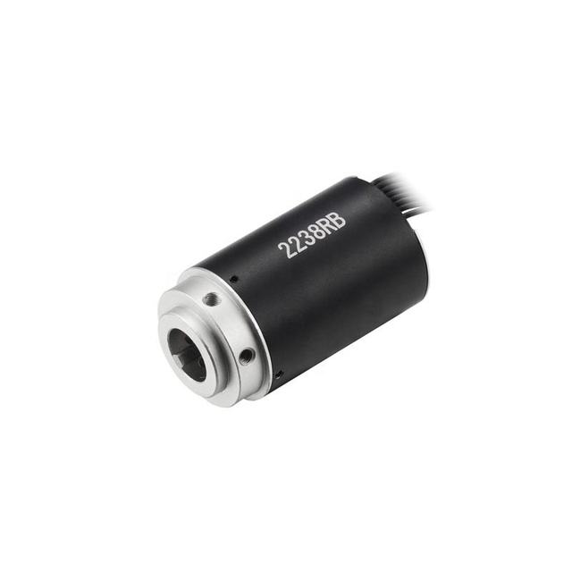Faradyi 12V 30V Customized 12000rpm~15200rpm 22mm High Speed 3 Phase Coreless Brushless Dc Motor for Printing Machine