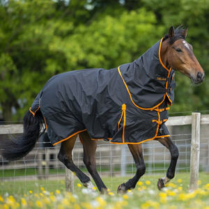 Lightweight Luxury Winter Equestrian Stable Sheet Standard Neck <b>Portable</b> Horse Rug Made from Soft Fleece Fabric with 2 Leg Strap - Product Image 6