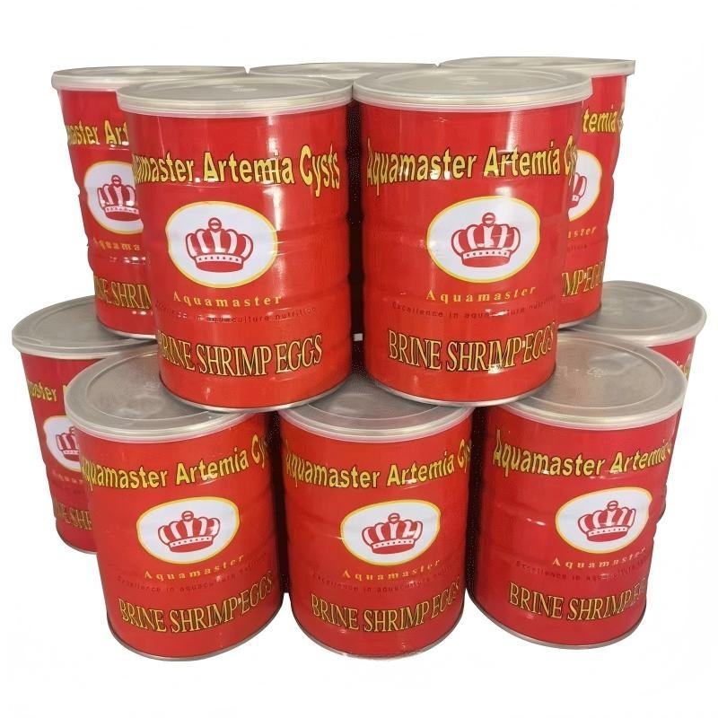 Oeufs fins de haute qualité, 425g, taux d'éclosion en incubateur de 90%.