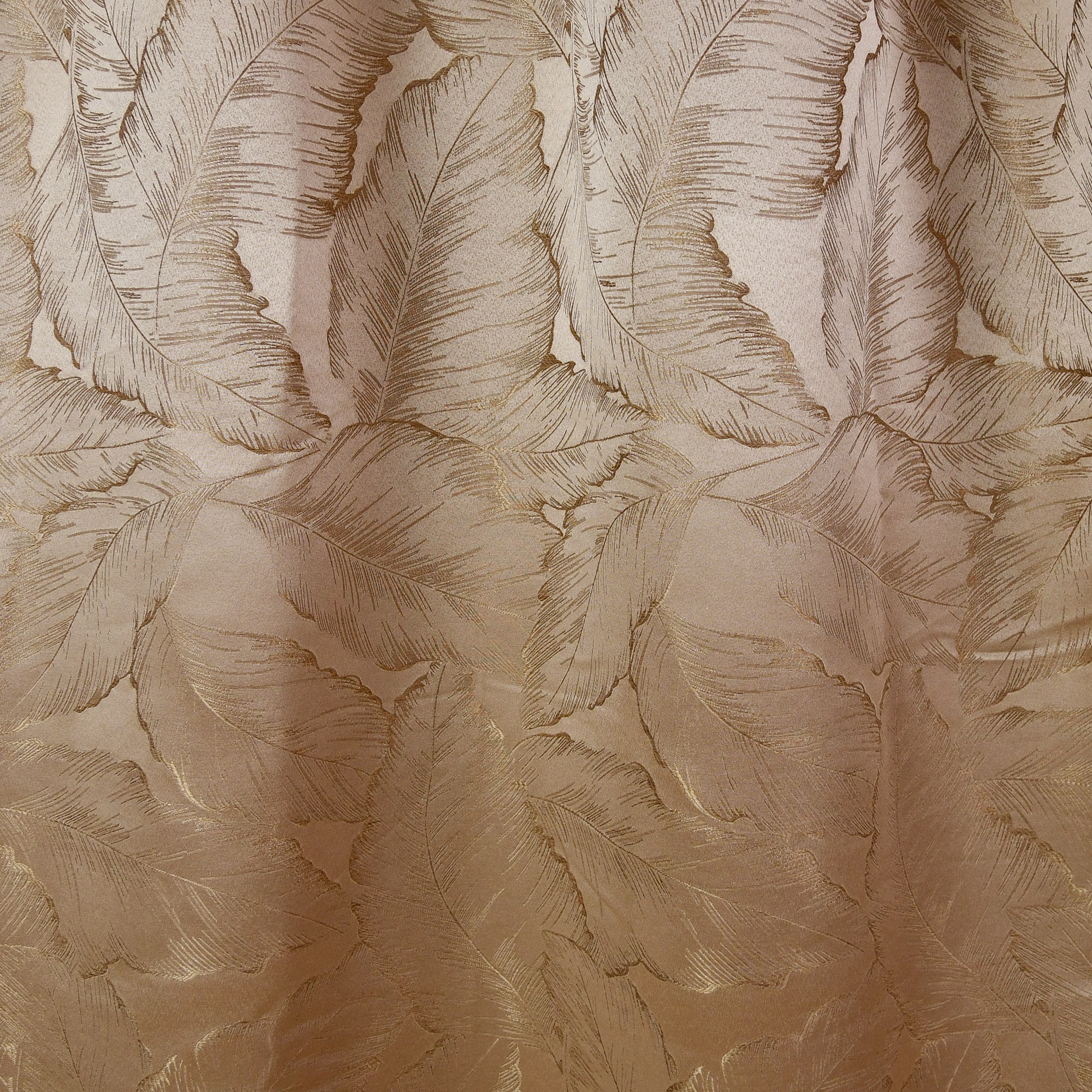 Color-2A กาแฟสีเทา