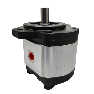 Pompe à engrenages hydraulique simple série HUAMAO AZPF AZPF-11-016LCP20KB AZPF-12-005RQR-12MB Pompe à huile haute pression - Product Image 1