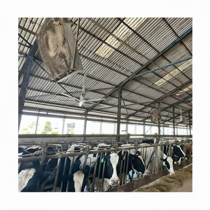 Cowair HVLS Smart Fan 500 L Cowealthy Ventilateur de plafond industriel HVLS pour fermes, granges, entrepôts et bétail - Product Image 1