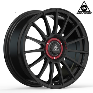 Jante en alliage pour <span class=keywords><strong>OZ</strong></span> SUPERTURISMO EVOLUZIONE (LM EVO) à rayons multiples, moyeux forgés, super légère, sport, 18*8 18*8.5 <span class=keywords><strong>pouces</strong></span> 5*112 5*114.3 - Product Image 4
