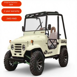 Mini Jeep Classic Sightseeing Gas/LPG Car Side by Sides todoterreno Buggy Hunting Car 2/4/6 asientos CE certificado - Product Image 1