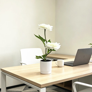 Fleurs de pivoine artificielles Paulon, 27 cm de haut, en plastique et tissu, plantes en pot pour décorations de maison et de mariage - Product Image 4