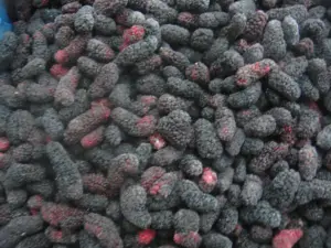 Moras congeladas Moras IQF