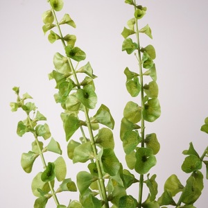 Pianta Artificiale Verde Real Touch da 92 cm, Campanelle d'Irlanda, per Composizioni Floreali - Decorazioni per la Festa della Mamma e la <span class=keywords><strong>Laurea</strong></span> - Product Image 4