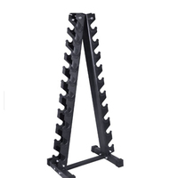 TOPTONS Home Gym équipement de fitness multifonctionnel 10 couches Triangle Haltère Rack