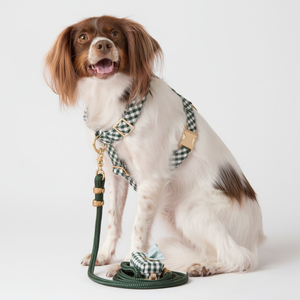 Produttore Diretto OEM, Forniture Personalizzate per Animali Domestici, Imbracatura per Cani a Quadri per Corsa, Personalizzabile con Chiusura a Fibbia Dorata - Product Image 1