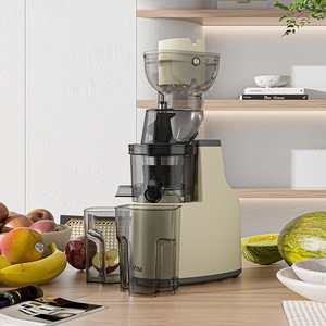 Juicer Automatic Cold <b>Press</b> Masticating 500Ml Low Noise Multi Functional For Fresh <b>Fruit</b> Juice Making - Product Image 1