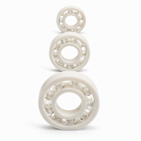 Roulement à billes ouvert en plastique 6005 25x47x12mm avec anneaux en POM, billes en verre et cage en nylon, léger et isolant pour applications de lavage et machines alimentaires
