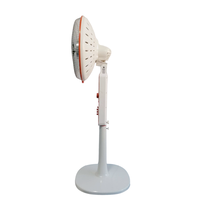 Chauffage électrique Portable de haute qualité Thermostat réglable chauffage en carbone Proabolic pour éclairage de port spatial autoportant de salle de bain