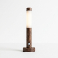 Nouvelle Lampe Murale Intelligente à Capteur Corporel LED, Veilleuse Tricolore Magnétique Rechargeable pour Chambre et Armoire