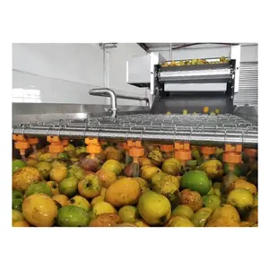 Impianto di lavorazione industriale della produzione di marmellata di purea di polpa di succo di Mango che fa la linea di produzione della macchina