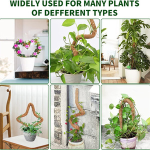 Poteau en mousse écologique pliable pour plantes grimpantes DIY, <span class=keywords><strong>intérieur</strong></span>, extérieur, jardin, maison, naturel, en fibre de coco, poteau empilable pour plantes - Product Image 6