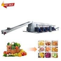 Séchoir industriel à fruits et aliments à bande transporteuse pour cardamome, tomates et dattes rouges – Vente directe usine