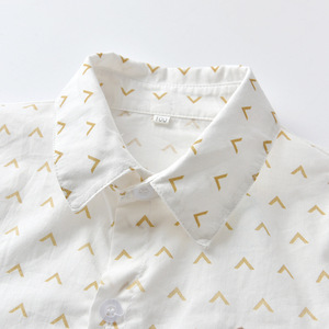 Conjuntos de Camisas de Manga Larga y Pantalones de Alta Calidad al por Mayor con Envío en Línea, Ropa de Boutique para Niños, Conjunto de 2 Piezas 20B542B - Product Image 5