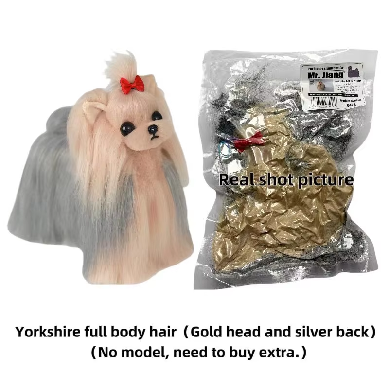 Cheveux de corps entier de Yorkshire (tête d'or et dos argenté)