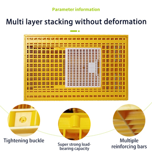 Scatola di trasporto in plastica industriale per vecchi pulcini di giorno nuova condizione gabbia della batteria per uso dell'azienda avicola - Product Image 6