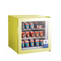 Congélateur à glace miniature de 55 L, congélateur commercial