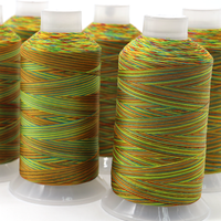 Fil de nylon coloré haute ténacité Tex 70 135 420d Fil à coudre multicolore