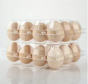 Ucuz toplu çevre dostu plastik yumurta tepsisi yumurta kartonları tutucu yumurta kutusu