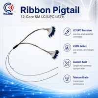 Ruban de Fibre Optique Monomode 12 Cœurs LC/UPC Simplex SM MM LSZH de Qualité Télécom, Fournisseur Fabricant, Personnalisé, 0,9 mm