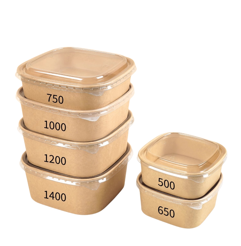 Eco Friendly Disposable Food Grade Salad Bowls(Square Bowls) With Low Price