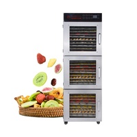 Fruit Machine India 220 Volt Foshan Pakistan Industrie Voedsel Plant Uitdrogen Gebruikt 40 Lade Voedsel Droger