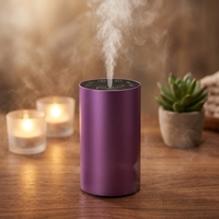 Diffuseur de parfum sans fil personnalisé avec logo pour la maison, diffuseur de parfum pour voiture, diffuseur de parfum de luxe pour la maison