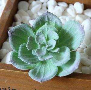 Một Số Loại Cây Trồng Mọng Nước Nhân Tạo Hiếm Có Mô Phỏng Cao Trong Chậu - Product Image 2