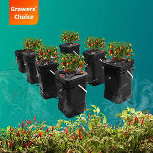 Groothandelsprijs Recirculerend Aeroponics Hydrocultuursysteem 1 4 6 8 12 Site Aeroponische Emmer Mistsysteem Fabriek - Product Image 1