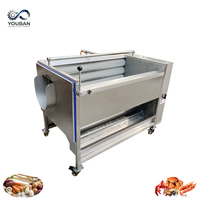 Machine à laver et à éplucher YOUBAN en SUS304 pour légumes-racines : pommes de terre, gingembre, manioc, carottes, patates douces