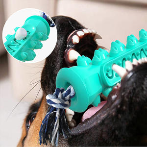 Jouets interactifs pour animaux de compagnie très demandés : bâton en TPR souple personnalisé anti-morsure, jouet à mâcher pour chien avec corde, brosse à dents double pour nettoyer les dents du chien - Product Image 2