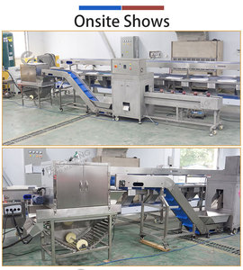 Máquina Peladora de Cebollas Automática Tipo Cadena y Cortadora de Raíces, Línea Industrial de Procesamiento de Pelado de Cebollas, Venta Directa de Fábrica - Product Image 3