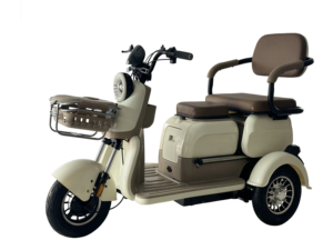 Triciclo eléctrico de ocio de tres ruedas de 800W, gran oferta 2023, triciclo de acero con alto contenido de carbono de 600W, bicicleta eléctrica de tres ruedas - Product Image 6