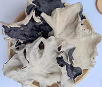 Vente en gros à prix compétitif de Champignons noirs séchés (Fungus Wood Ear) de troisième et quatrième récolte, grande taille