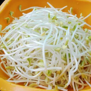 Supplier price new crop frozen iqf green mung beans sprouts