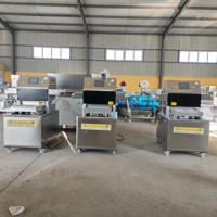 Automatische traysealmachine, MAP vacuümverpakkingsapparatuur voor vlees, fruit, kant-en-klare maaltijden, plastic doosjes.